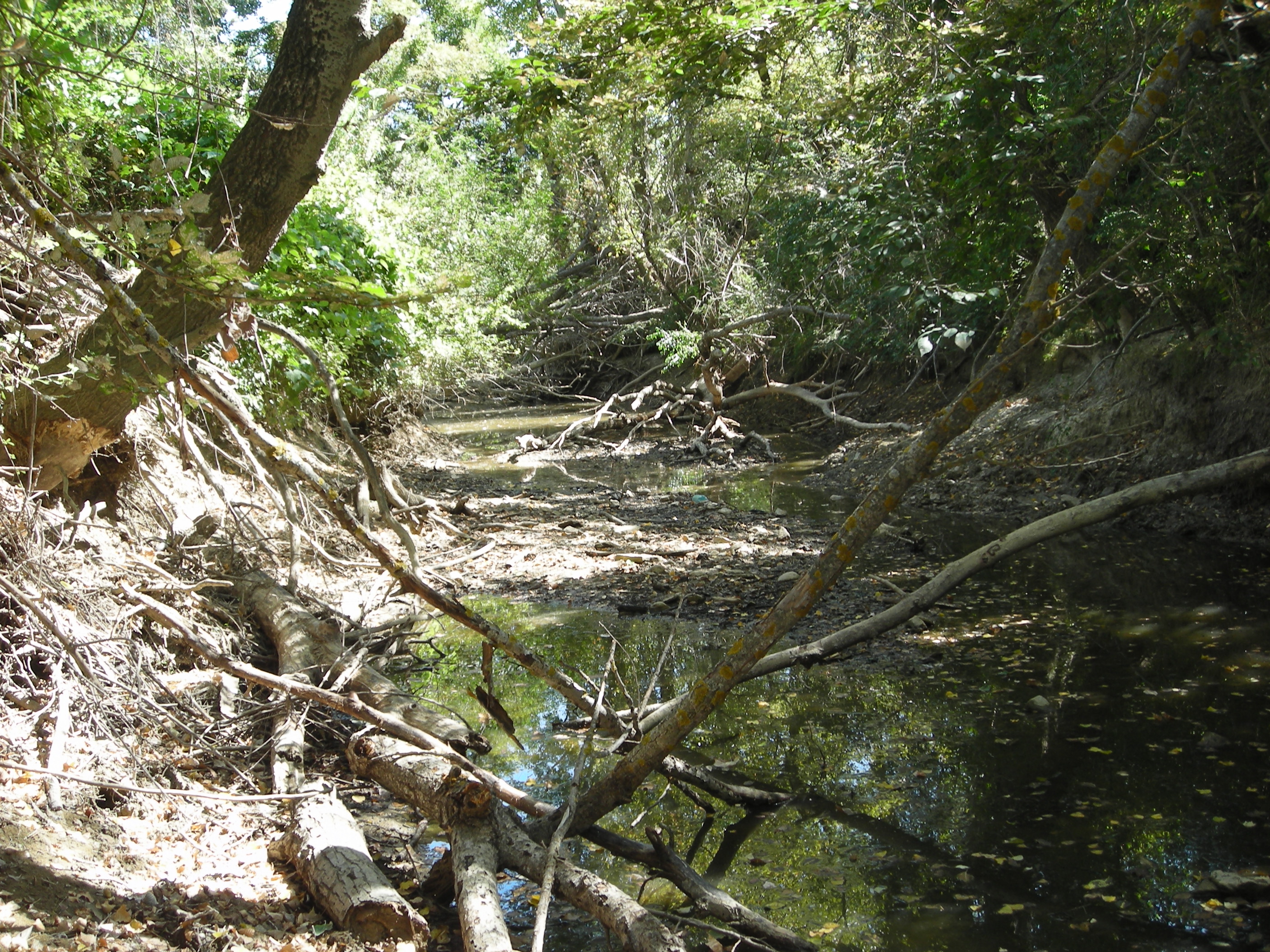 Comité sécheresse du Gard du 18 août : le bassin du Vidourle maintenu en « Vigilance » dans sa majeure partie